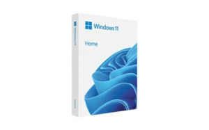 Windows 11 Home 5 Users