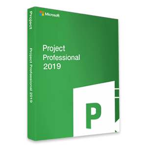 Project Pro 2019 Bind